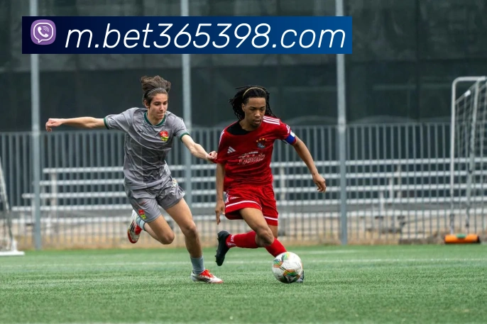 bet365中国官网平台生态图
