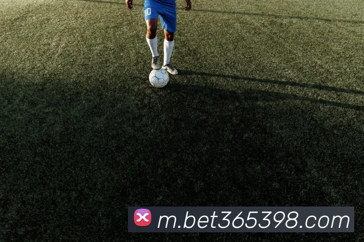 bet365中国官网APP 封面图